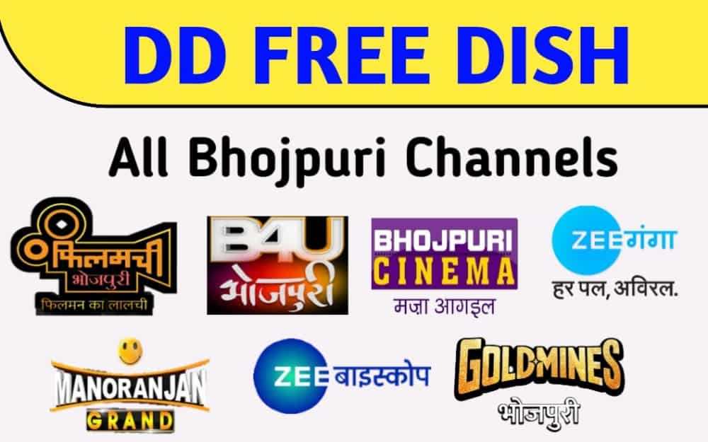 dd free dish bhojpuri channel schedule