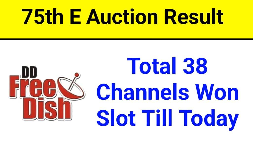 DD Free Dish MPEG2 75 E Auction